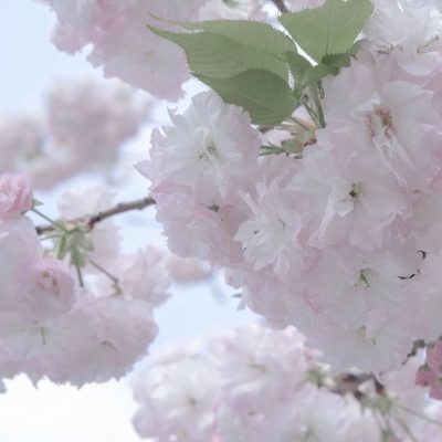 兽设潮流风格设计福瑞交流群